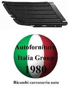 Griglia paraurti anteriore - griglia, dx